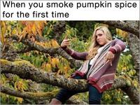 When you smoke pumpkin spice for the first time