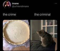 imane @urfriendimane the crime the criminal