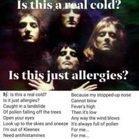 Is this a real cold? Is this just allergies? E Is this a real cold? Isit just allergies? Caught in a landslide Of pollen falling off the trees Open your eyes Look up to the skies and sneeze It's always full of pollen I'm out of Kleenex Because my stopped-up nose Cannot blow Fever's high Then it's low Any way the wind blows For me. Need antihistamines For me...