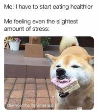 Me: I have to start eating healthier Me feeling even the slightest amount of stress: Download the @memes app