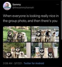 Sammy @thesammyhannah SAMANTHA NA HOW TO WIN E When everyone is looking really nice in the group photo, and then there's you 3:28 AM · 3/17/21 · Twitter for Android