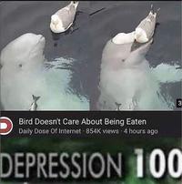 3 Bird Doesn't Care About Being Eaten Daily Dose Of Internet 854K views 4 hours ago DEPRESSION 100 3.