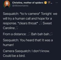 Christina, mother of spiders @Aikiwomannc Sasquatch: *to tv camera* Tonight we will try a human call and hope for a response. *clears throat* Sweet Caroline From a distance: Bah bah bah. Sasquatch: You heard that! It was a human! Camera Sasquatch: I don't know. Could be a bird.