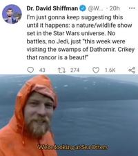 @W.. · 20h I'm just gonna keep suggesting this until it happens: a nature/wildlife show set in the Star Wars universe. No Dr. David Shiffman battles, no Jedi, just "this week were visiting the swamps of Dathomir. Crikey that rancor is a beaut!" 43 17 274 1.6K Dkevanie We're looking at Sea Otters