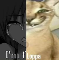 I'm fLoppa