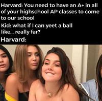 Harvard: You need to have an A+ in all of your highschool AP classes to come to our school Kid: what if I can yeet a ball like.. really far? Harvard: