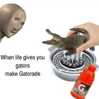 When life gives you gators make Gatorade