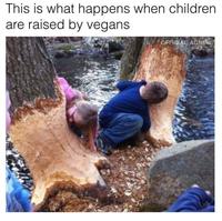 This is what happens when children are raised by vegans OFFICIAL AGNEW