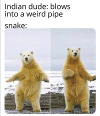 Indian dude: blows into a weird pipe snake: