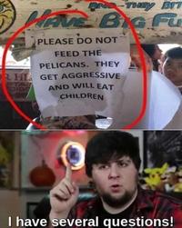 OND-THEY BIT HAVE BIG Fu PLEASE D O NOT FEED THE PELICANS. THEY RHL GET AGGRESSIVE AND WILL EAT CHILDREN PTA I have several questions!