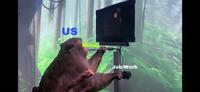 US Money Job/Work