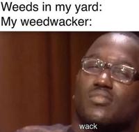 Weeds in my yard: My weedwacker: wack KO