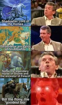 Shadowfax Lord of the Horses tezeu Felaróf the ancestor of Shadowfax Tazen Nahar the legendary horse of Oromë and the ancestor of Felaróf Bill the Pony, the goodest boi