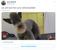 Elon Musk O @elonmusk we will boil him soon alhamdulillah Translate Tweet he will be boiled Tweet #bosnianchicken