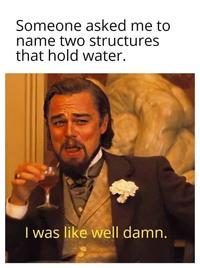 Someone asked me to name two structures that hold water. I was like well damn.