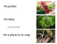 He protec He attac but most importantly He a place to to crap