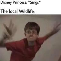 Disney Princess: *Sings* The local Wildlife: