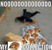 NO0000000000000 MY COLLECTION