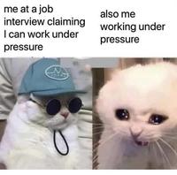 me at a job interview claiming working under I can work under also me pressure pressure