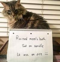 Ruined mom's beath. Sat on candle しt ass on fire こ RATCH