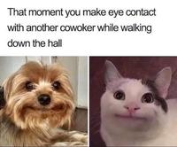 *polite nod*