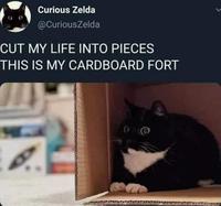 Curious Zelda @CuriousZelda CUT MY LIFE INTO PIECES THIS IS MY CARDBOARD FORT