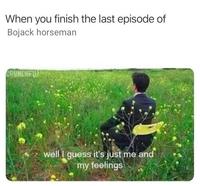 When you finish the last episode of Bojack horseman BRUNCHFU well I guess it's just me and my feelings