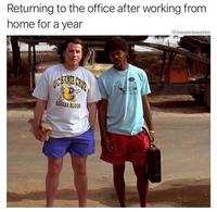 Returning to the office after working from home for a year @kweenkwerke SANTA CRUZ BANANA SLUGS