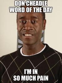 DON CHEADLE WORD OF THE DAY I'M IN SO MUCH PAIN