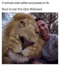 If animals took selfies and posted on fb. Bout to eat this idiot #blessed