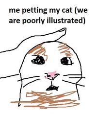 me petting my cat (we are poorly illustrated)