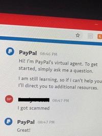 PayPal 08:46 PM Hi! I'm PayPal's virtual agent. To get started, simply ask me a question. I am still learning, so if I can't help you I'll direct you to additional resources. BP 08:47 PM I got scammed P PayPal 08:47 PM Great!