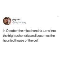 peytøn @peytnhaag in October the mitochondria turns into the frightochondria and becomes the haunted house of the cell