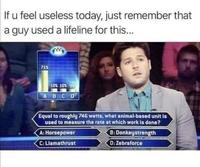 If u feel useless today, just remember that a guy used a lifeline for this... 715 10% 10% 9 ABCD Equal to roughly 746 watts, what animal-based unit is used to measure the rate at which work is done? A: Horsepower B: Donkeystrength C: Llamathrust D: Zebraforce