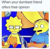 When your dumbest friend offers their opinion Tale App