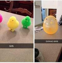 EXPAND BIRB birb