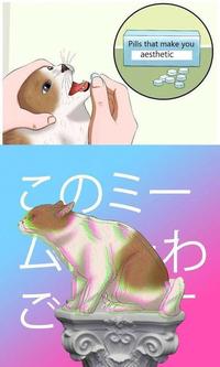 Pills that make you aesthetic このミー ム わ 000