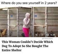 Where do you see yourself in 2 years? < 17.5K O 76.5K @Erikdavidson This Woman Couldn't Decide Which Dog To Adopt So She Bought The Entire Shelter