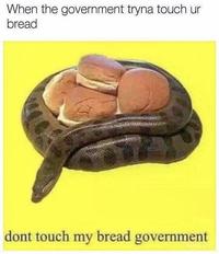 When the government tryna touch ur bread dont touch my bread government