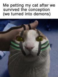 Me petting my cat after we survived the conception (we turned into demons)