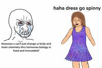 haha dress go spinny Noooo0o u can't just change ur body and brain chemistry thru hormones biology is fixed and immutable!!
