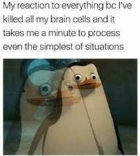 My reaction to everything bc I've killed all my brain cells and it takes me a minute to process even the simplest of situations