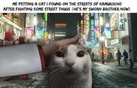 ME PETTING A CAT I FOUND ON THE STREETS OF KAMUROCHO AFTER FIGHTING SOME STREET THUGS (HE'S MY SWORN BROTHER NOW) 館 可僧社証券 OCHO KAMROCHO クス ケ HPACHIN APAC OT SLOTLOT LOVE パチスロ 天 上