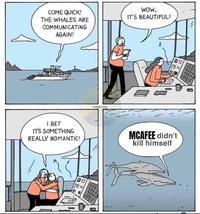 WOW, IT'S BEAUTIFUL! COME QUICK! THE WHALES ARE COMMUNICATING AGAIN! @uddy king I BET ITS SOMETHING REALLY ROMANTIC! MCAFEE didn't kill himself D::