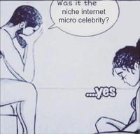 Was it the niche internet micro celebrity? yes