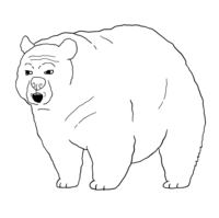 Soy Bearjak