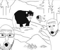 The Wojak Ecosystem