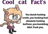 Cool cat Fact's You dumb f------ cretin, you f------ fool, absolute f------ buffoon, you bumbling idiot. F--- you.