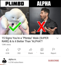 PLIMBO ALPHA 15 Signs You're a "Plimbo" Male (SUPER RARE) & Is it Better Than "ALPHA"? 134K views +1 8.9K 352 Share Save Report alpha m. SUBSCRIBE 6.31M subscribers
