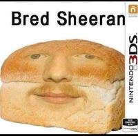 Bred Sheeran ALSO COMPATLE WITH ZDS NINTENDO3DS.